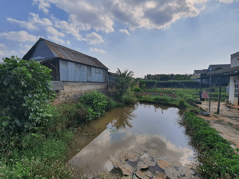 Bán đất, Xã Hiệp Thạnh, Huyện Đức Trọng, Tỉnh Lâm Đồng, Đường Ô tô, 915 m2