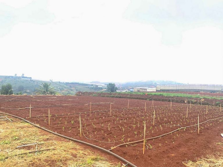 Bán đất, Xã Xuân Thọ, Tp Đà Lạt, Thế đất bằng phẳng View đẹp, 4000 m2