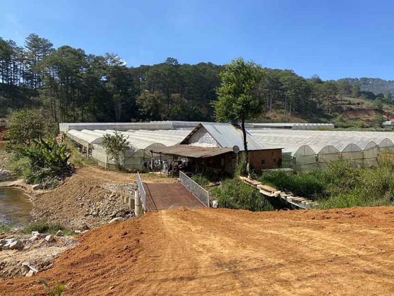 Bán đất, Xã Đạ Sar, Huyện Lạc Dương, Tỉnh Lâm Đồng, Đất có View đẹp, 4000 m2