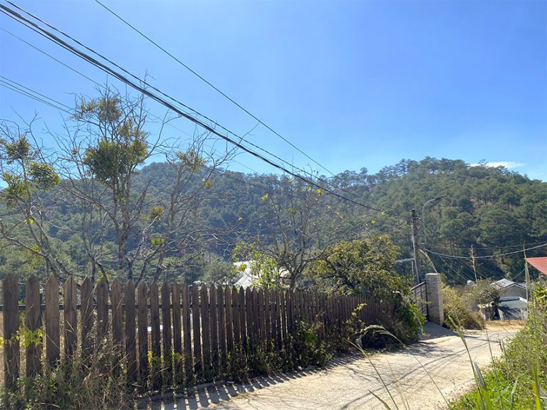 Bán đất, Đường Hoàng Hoa Thám, Phường Xuân Hương (P10 cũ), Tp Đà Lạt, Thế đất bằng phẳng View đẹp, 298 m2