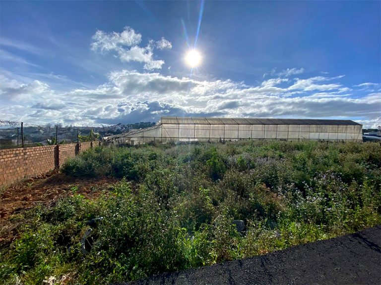 Bán đất, Đường Ngô Tất Tố, Phường 8, Tp Đà Lạt, Thế đất bằng phẳng, Đường Ô tô, 325 m2