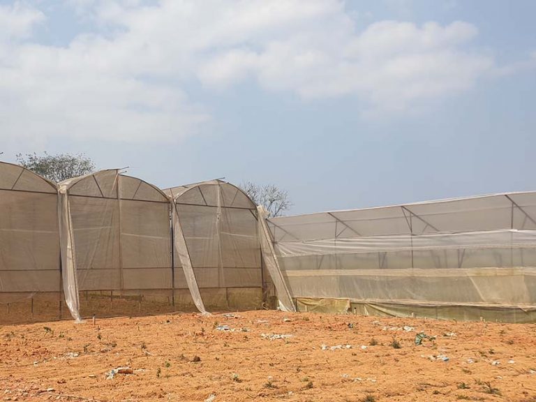 Bán đất, Đường Nguyên Tử Lực, Phường 8, Tp Đà Lạt, Thế đất bằng phẳng, 100 m2