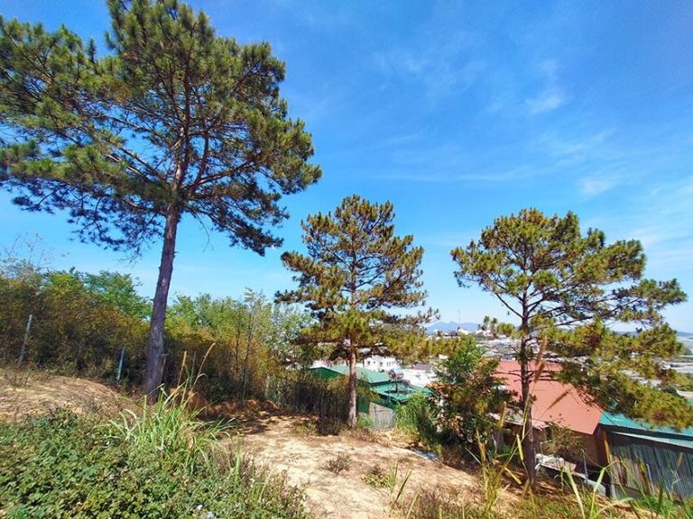 Bán đất, Đường Trịnh Hoài Đức, Phường 11, Tp Đà Lạt, Đất có View đẹp, 200 m2