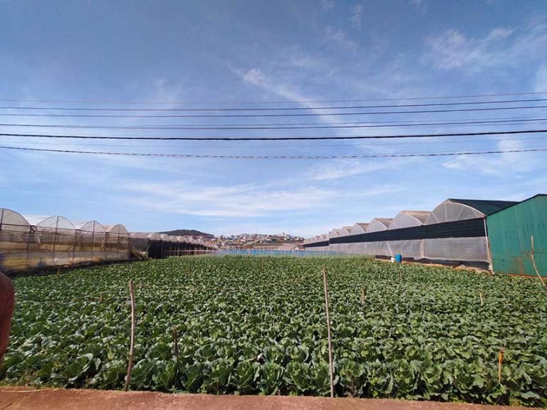 Bán đất, Đường Lộc Quý, Xã Xuân Thọ, Tp Đà Lạt, Đất hai Mặt tiền, 3188 m2