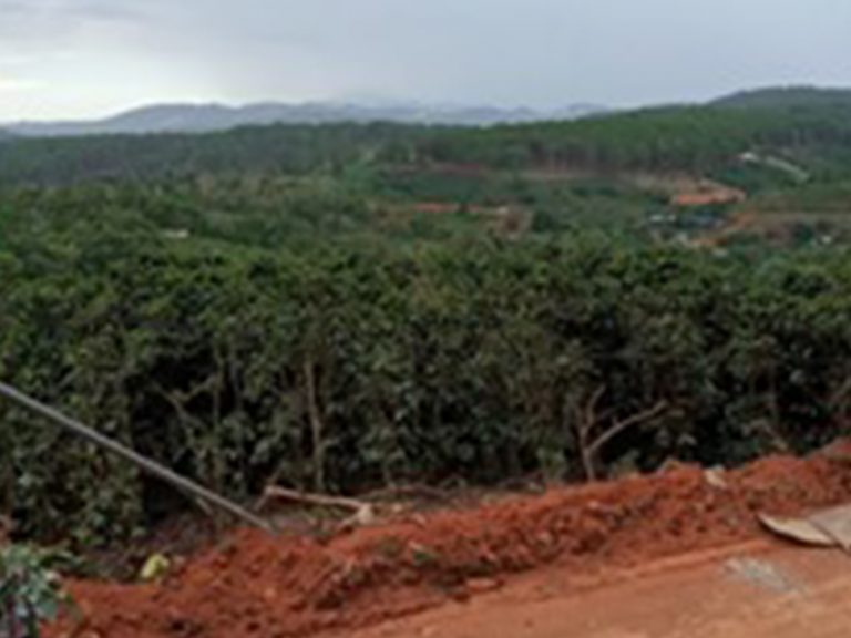 Bán đất, Thôn Xuân Sơn, Xã Xuân Trường, Tp Đà Lạt, Đường Ô tô, 8000 m2