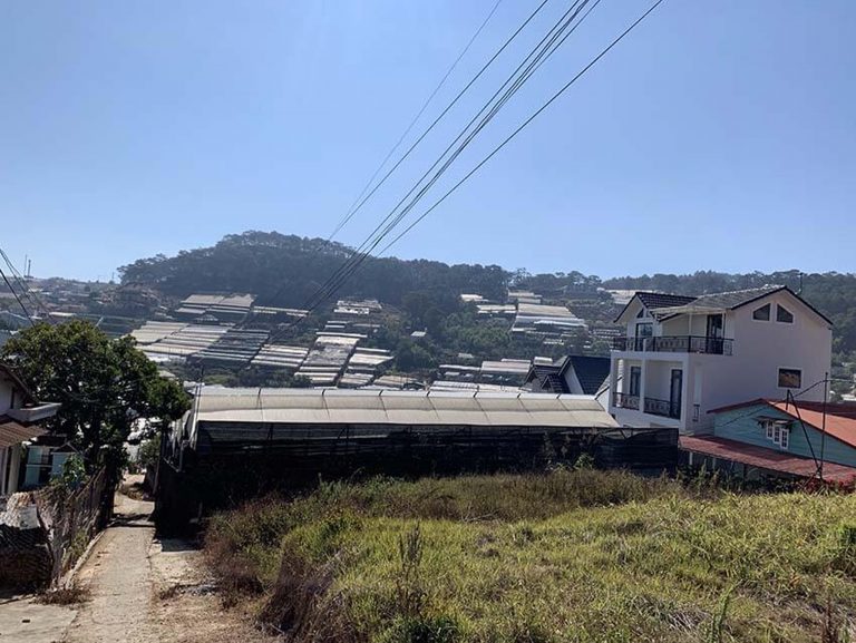 Bán đất, Đường Trịnh Hoài Đức, Phường 11, Tp Đà Lạt, Thế đất bằng phẳng, 200 m2