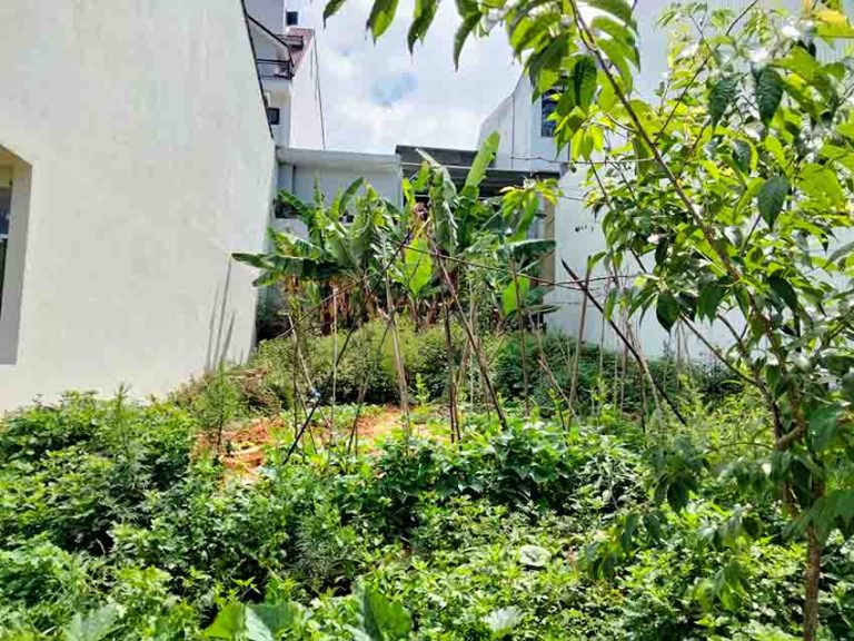 Bán đất, Đường An Sơn, Phường 4, Tp Đà Lạt, Gần Trung tâm Thành phố, 99.80 m2