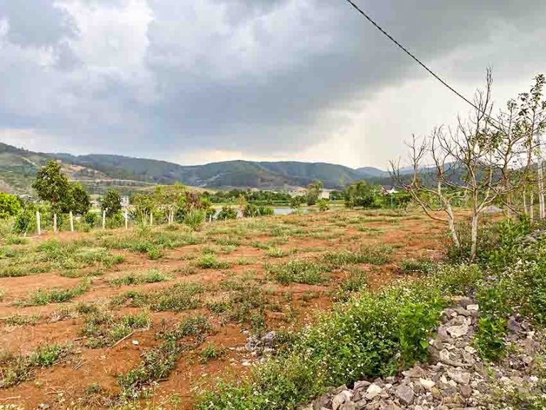 Bán đất, Xã Đông Thanh, Huyện Lâm Hà, Tỉnh Lâm Đồng, Thế đất bằng phẳng vuông vức, 192 m2