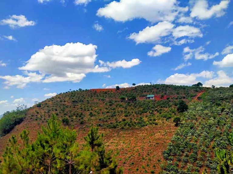 Bán đất, Xã Mê Linh, Huyện Lâm Hà, Tỉnh Lâm Đồng, Đường Ô tô đi xung quanh, 43000 m2