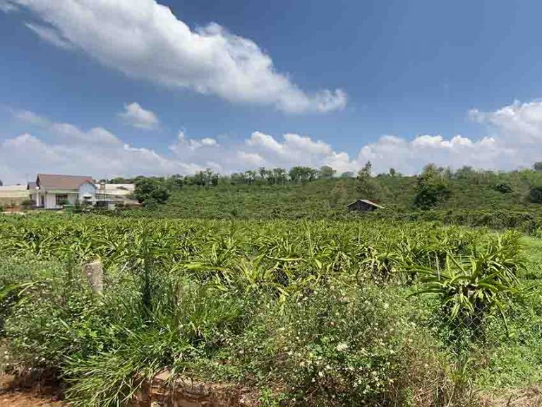 Bán đất, Xã Nam Hà, Huyện Lâm Hà, Tỉnh Lâm Đồng, Đất có View đẹp, 1.2 ha