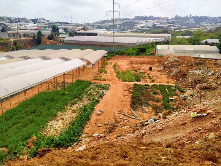 Bán đất, Đường Nam Hồ, Phường 11, Tp Đà Lạt, Đường Ô tô, 1000 m2