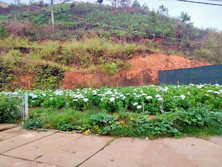 Bán nhà, Đường An Tôn, Phường 5, Tp Đà Lạt, Không gian yên tĩnh, 75 m2