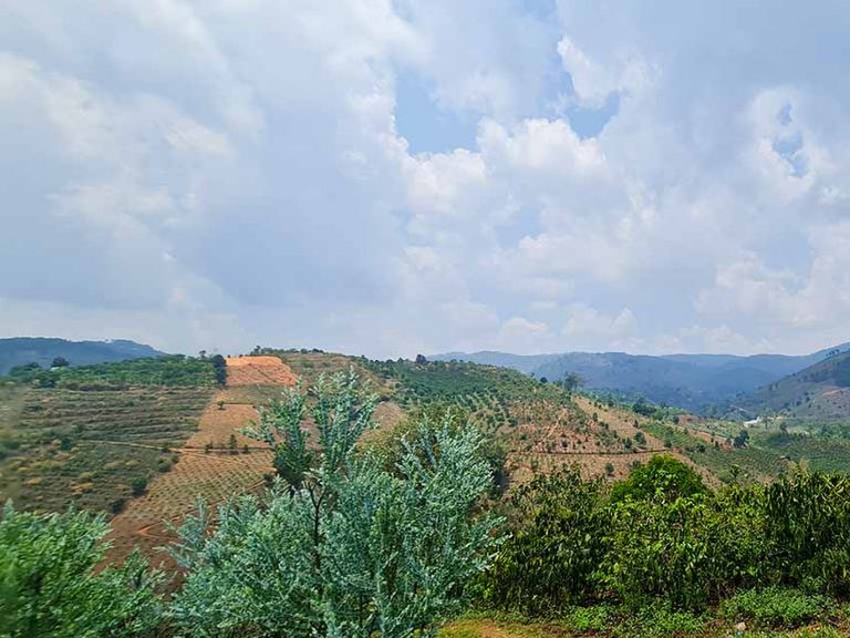 Bán đất, Xã Tà Nung, Tp Đà Lạt, Đất có View đẹp, Đường Ô tô, 3 ha