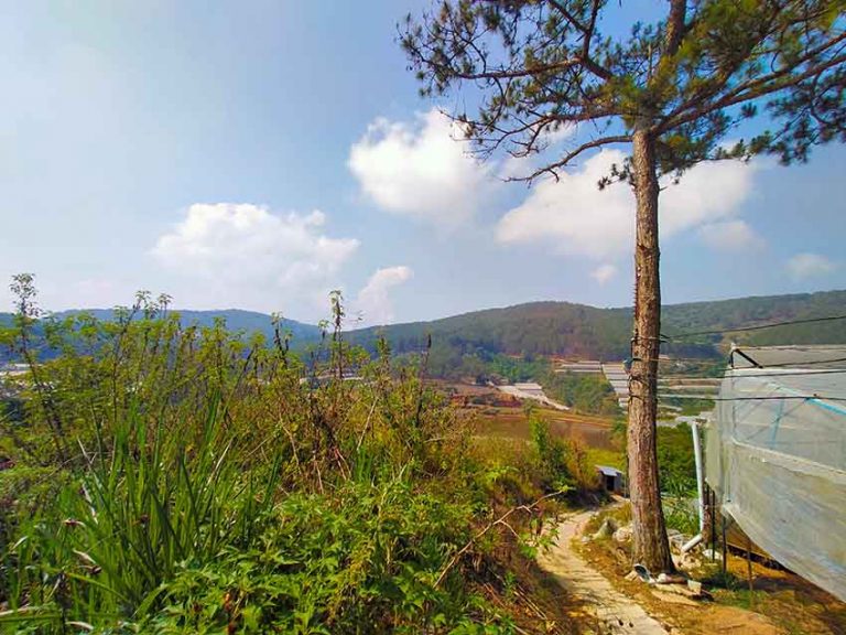 Bán đất, Đường Trần Văn Côi, Phường 5, Tp Đà Lạt, Đường Ô tô, 4000 m2