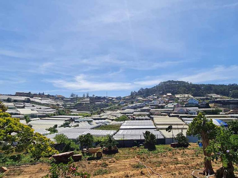 Bán đất, Đường Trịnh Hoài Đức, Phường 11, Tp Đà Lạt, Đất có View đẹp, 1100 m2