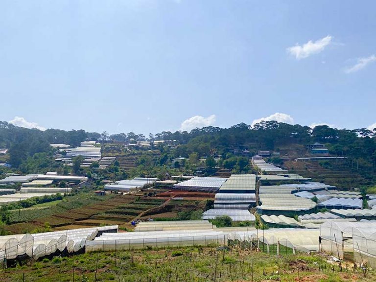 Bán đất, Đường Trịnh Hoài Đức, Phường 11, Tp Đà Lạt, Đất bằng phẳng View đẹp, 200 m2