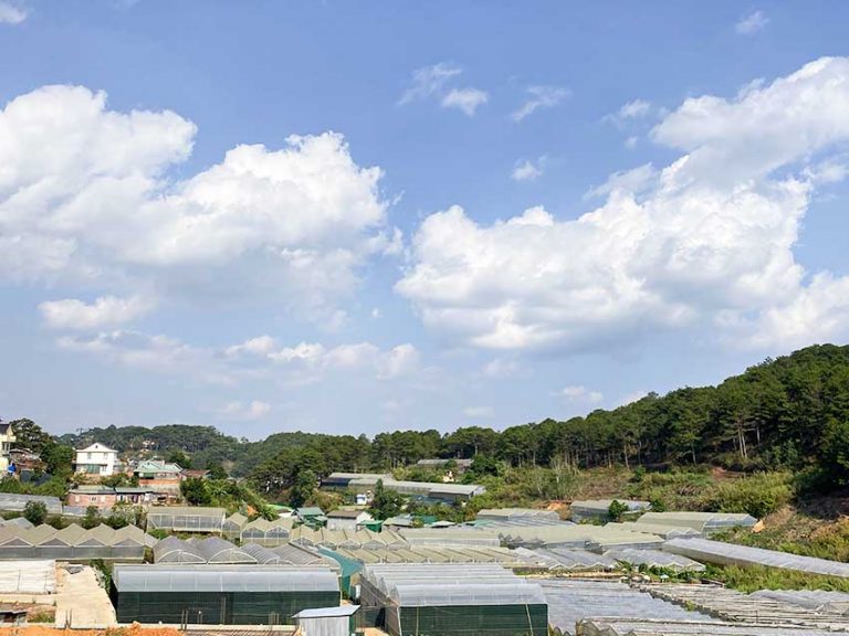 Bán đất, Đường Vạn Thành, Phường 5, Tp Đà Lạt, Thế đất bằng phẳng vuông vức, 209 m2