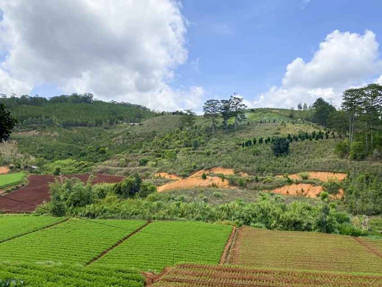 Bán đất, Thôn Đa Quý, Xã Xuân Thọ, Tp Đà Lạt, Đất có View đẹp, 1.45 ha