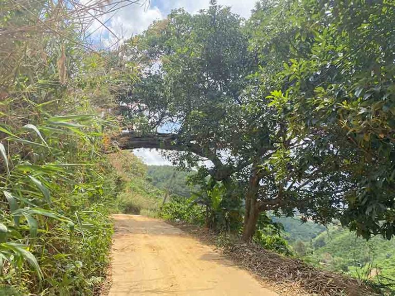 Bán đất, Xã Mê Linh, Huyện Lâm Hà, Tỉnh Lâm Đồng, Thế đất cao đẹp, 15000m2