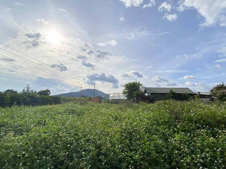 Bán đất, Xã Liên Hiệp, Huyện Đức Trọng, Tỉnh Lâm Đồng, Thế đất bằng phẳng, 200 m2