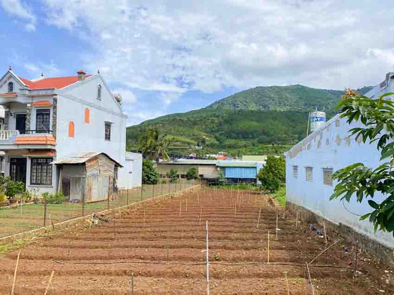 Bán đất, Xã Hiệp Thạnh, Huyện Đức Trọng, Tỉnh Lâm Đồng, Thế đất bằng phẳng vuông vức, 438 m2