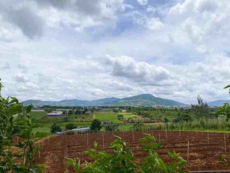 Bán đất, Xã Liên Hiệp, Huyện Đức Trọng, Tỉnh Lâm Đồng, Đất hai Mặt tiền, 2000 m2