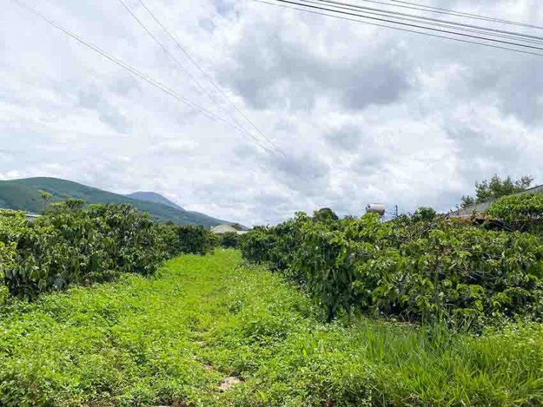 Bán đất, Xã Liên Hiệp, Huyện Đức Trọng, Tỉnh Lâm Đồng, Đất vị trí đẹp, 3300 m2