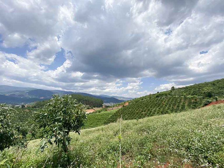 Bán đất, Xã Mê Linh, Huyện Lâm Hà, Tỉnh Lâm Đồng, Đất có View đẹp, 17000 m2