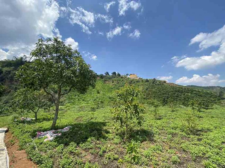 Bán đất, Xã Mê Linh, Huyện Lâm Hà, Tỉnh Lâm Đồng, Đất có View đẹp, 18000 m2