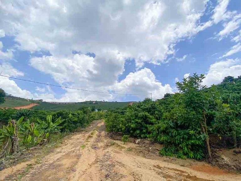 Bán đất, Xã Mê Linh, Huyện Lâm Hà, Tỉnh Lâm Đồng, Đất có View đẹp, 8000 m2