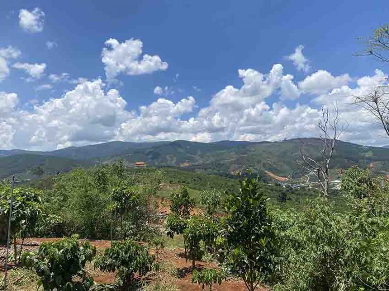 Bán đất, Xã Mê Linh, Huyện Lâm Hà, Tỉnh Lâm Đồng, Đất ba Mặt tiền, 29 000m2 