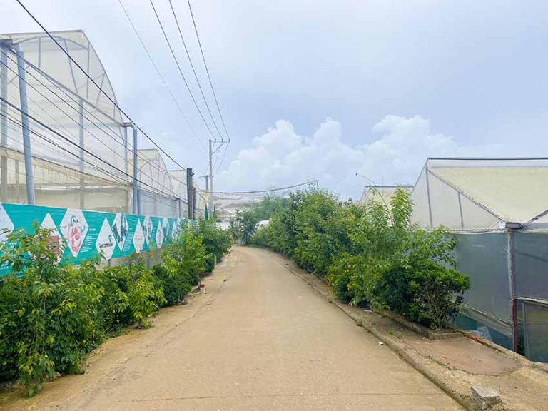 Bán nhà, Đường Nguyên Tử Lực, Phường 8, Tp Đà Lạt, Gần Trung tâm Thành phố, 100 m2