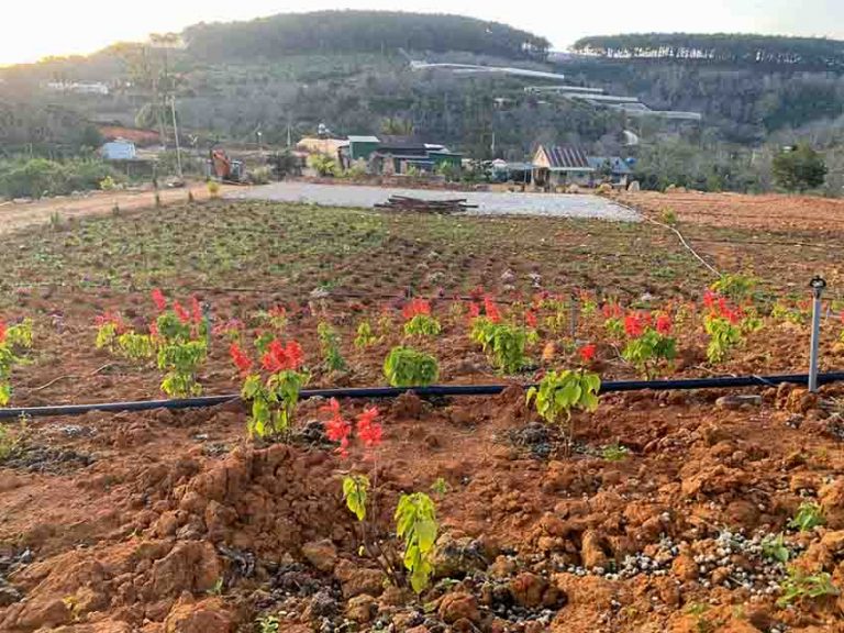 Bán đất, Xã Xuân Trường, Tp Đà Lạt, Đất có View đẹp, 2 ha