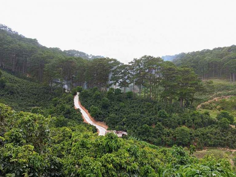 Bán đất, Đường Xuân Sơn, Xã Xuân Trường, Tp Đà Lạt, Đường Ô tô, 18842 m2