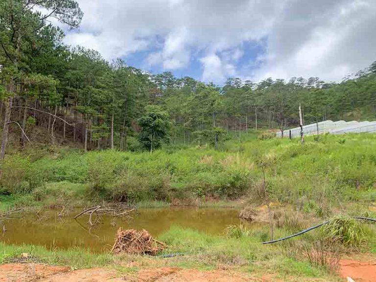 Bán đất, Huyện Lạc Dương, Tỉnh Lâm Đồng, Đất có View đẹp, 1000 m2