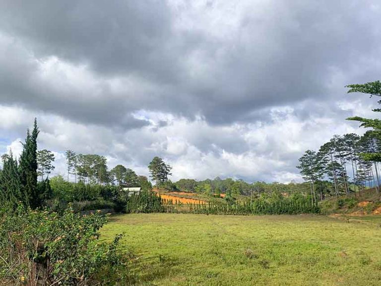 Bán đất, Xã Đạ Sar, Huyện Lạc Dương, Tỉnh Lâm Đồng, Mặt tiền Đường lớn, 8000 m2