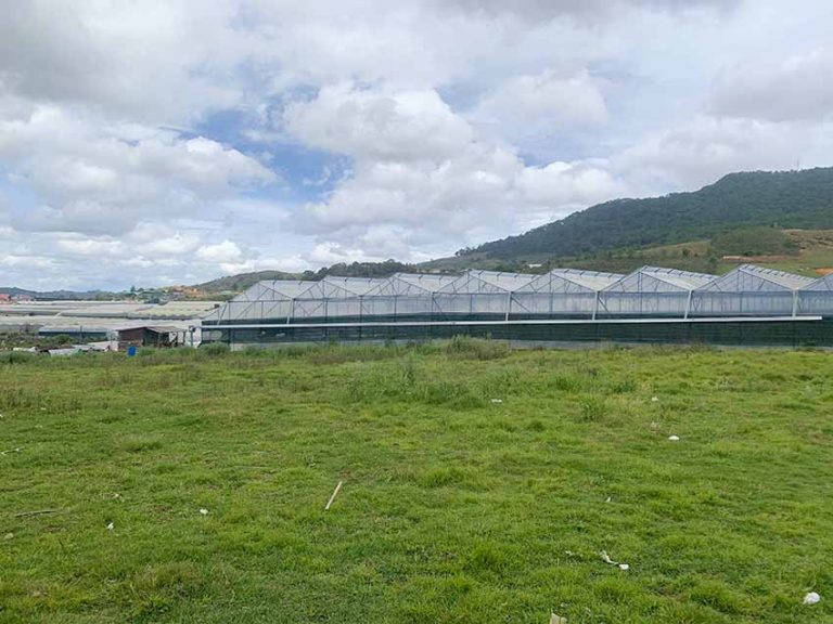 Bán đất, Huyện Lạc Dương, Tỉnh Lâm Đồng, Thế đất bằng phẳng, 4300 m2