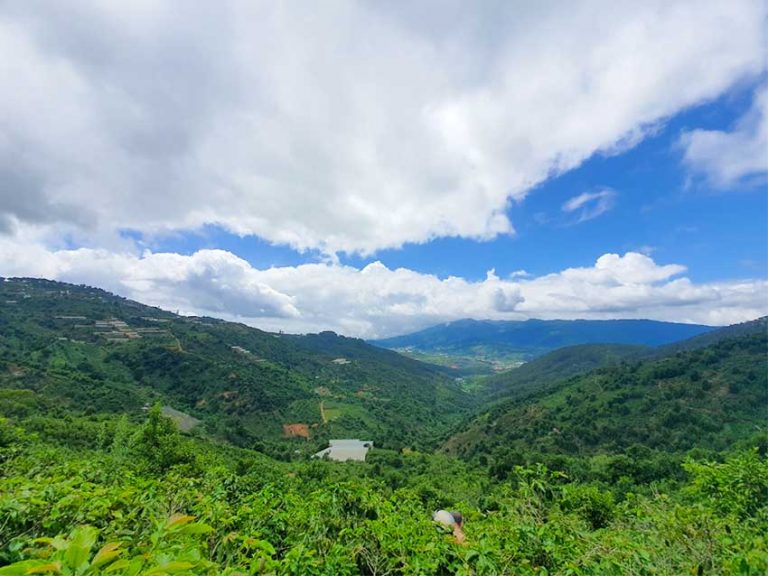 Bán đất, Xã Trạm Hành, Xuân Trường, Tp Đà Lạt, View săn mây, 1000 m2