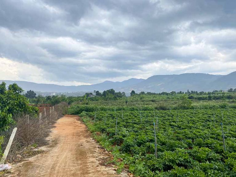 Bán đất, Xã Đông Thanh, Huyện Lâm Hà, Thế đất vuông vức, 325 m2