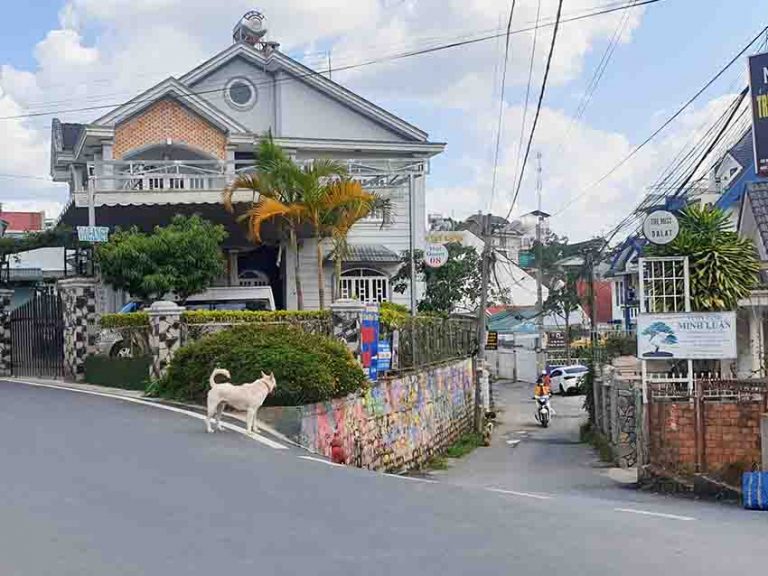 Bán đất, Đường Lê Hồng Phong, Phường 4, Tp Đà Lạt, Gần trung tâm thành phố, 100 m2