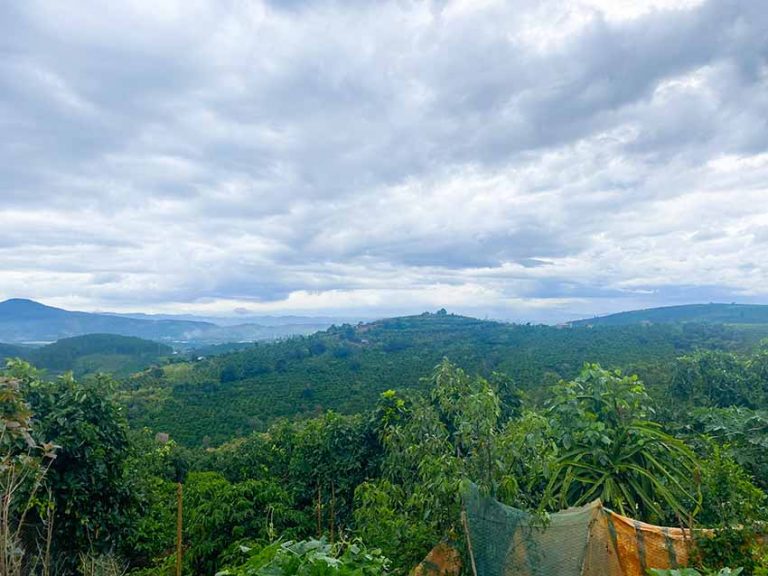 Bán đất, Nam Hà, Lâm Hà, Tỉnh Lâm Đồng, View săn mây, 10250 m2