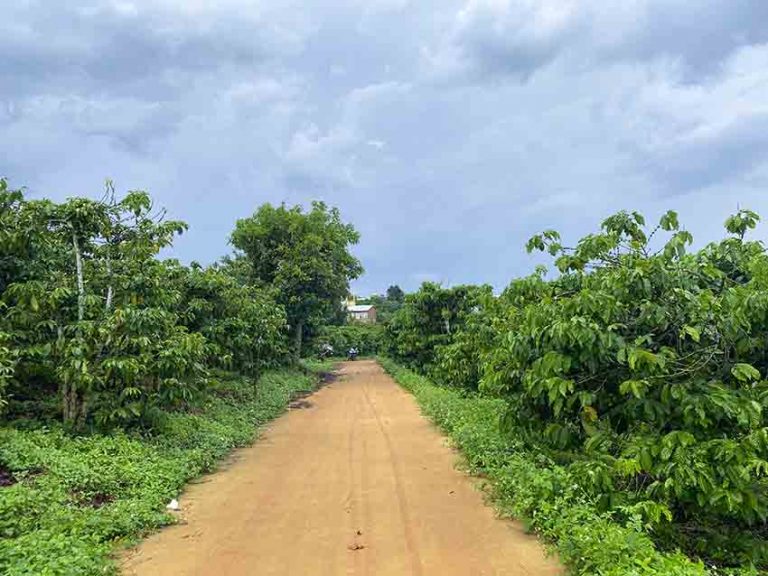 Bán đất, Xã Nam Hà, Huyện Lâm Hà , Tỉnh Lâm Đồng, Thế đất triền có View, 2 ha