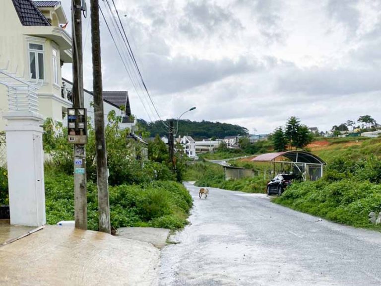 Bán đất, Đường An Sơn, Phường 4, Tp Đà Lạt, Đường ô tô, 166.5 m2