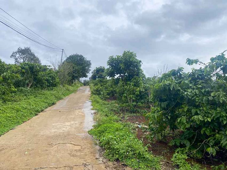 Bán đất, Xã Gia Lâm, Lâm Hà, Tỉnh Lâm Đồng, Đường bê tông 4m tô vào tận đất, 4951m2
