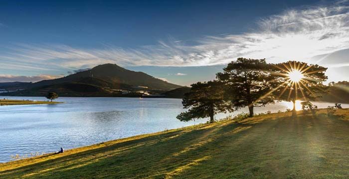 Khai thác Đankia - Suối Vàng - quangthinhland.com Khai thác Đankia - Suối Vàng - quangthinhland.com