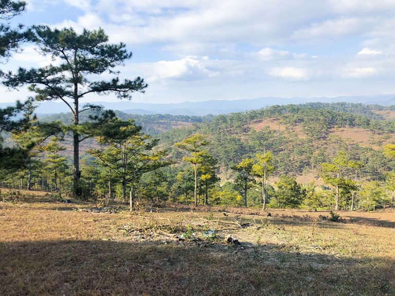 Bán đất, Đường Măng Lin, Phường 7, Tp Đà Lạt, Có view rừng thông, 795.26 m2