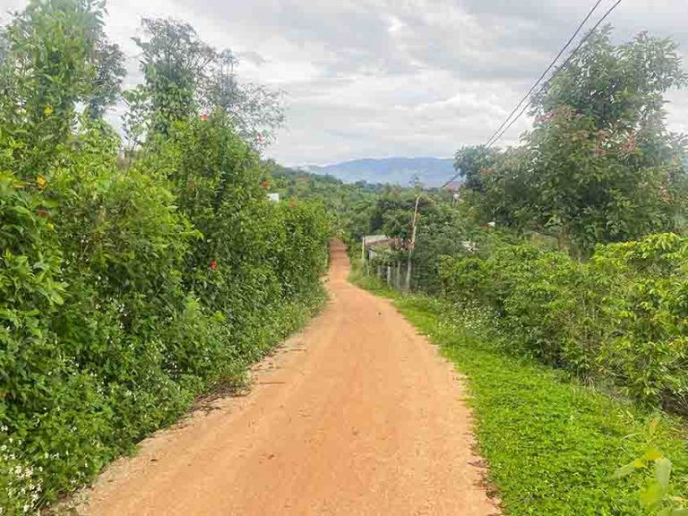 Bán đất, Xã Nam Hà, Huyện Lâm Hà, Tỉnh Lâm Đồng, Đường ô tô vào tận nơi, 20000 m2