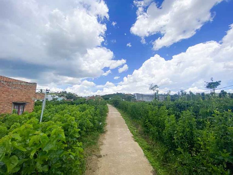 Bán đất, Tân Văn, Huyện Lâm Hà, Đường ô tô, 2018 m2