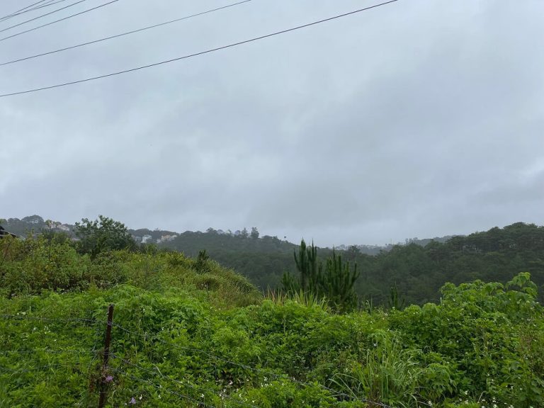 Bán đất, Đường Hoàng Hoa Thám, Phường 10, Tp Đà Lạt, Đường ô tô vào tận nơi 4,5 m, 1450 m2