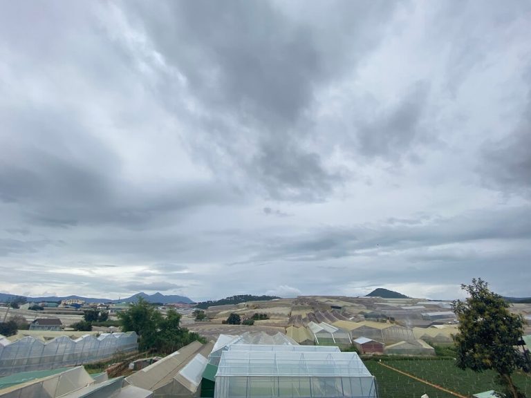 Bán đất, Đường Trần Anh Tông, Phường 8, Tp Đà Lạt, Đường ô tô 8 m2, 43 m2